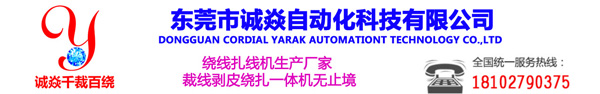 全自动绕线扎线机